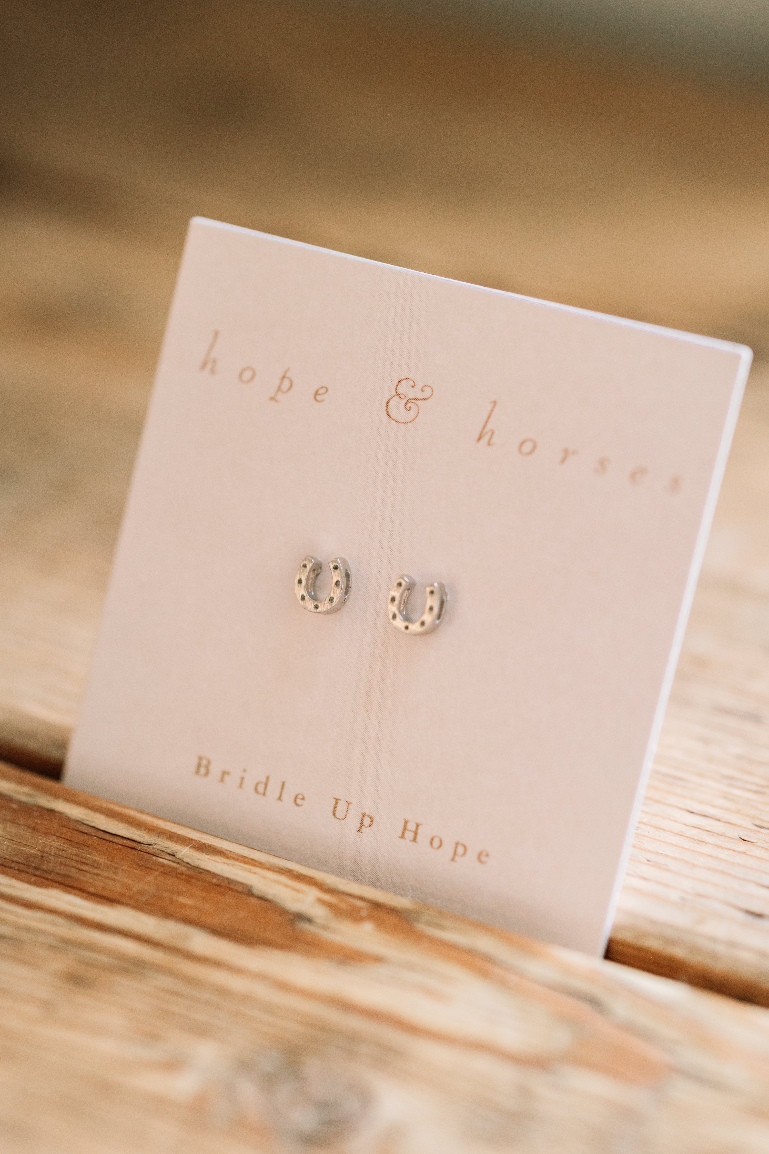 Mini Horseshoe Earrings Silver