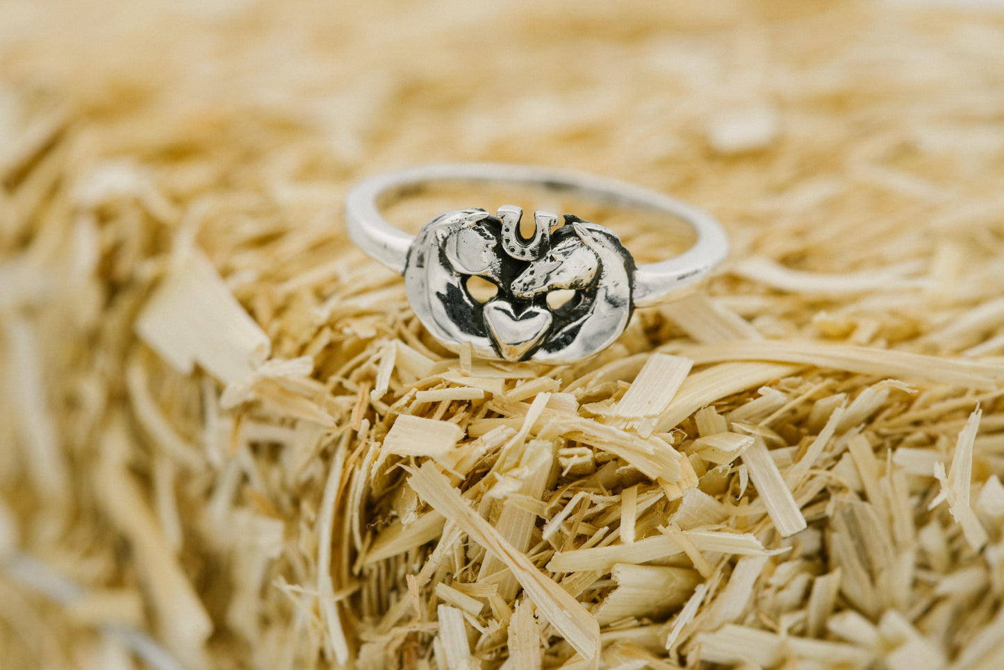 bridle up hope ring