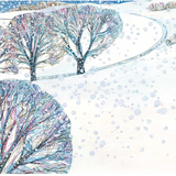 Snow Horses: A First Night Story