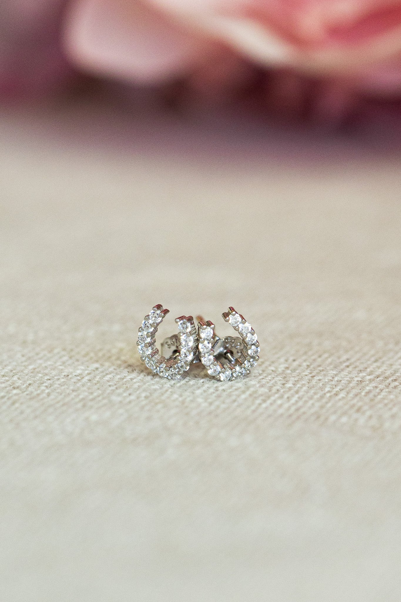 luxe horseshoe earrings Silver