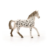 Knapstrupper Stallion