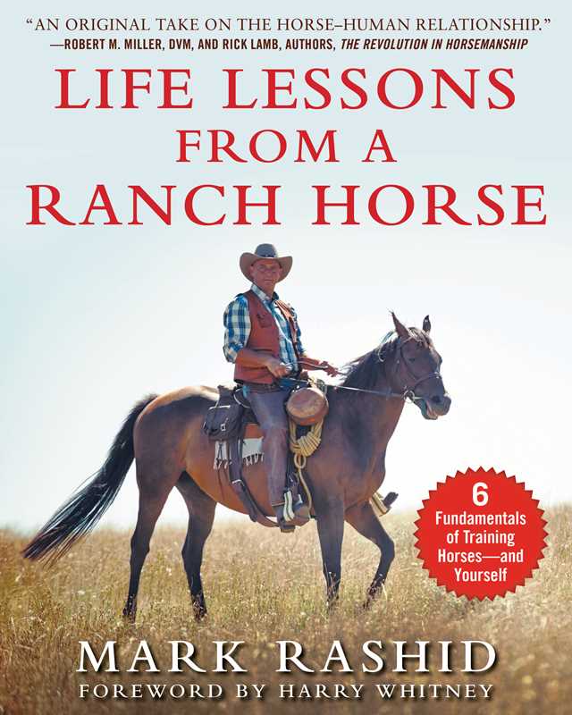 Life lessons From a Ranch Horse