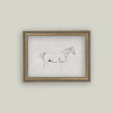 Horse Sketch Framed Art 16" x 12"
