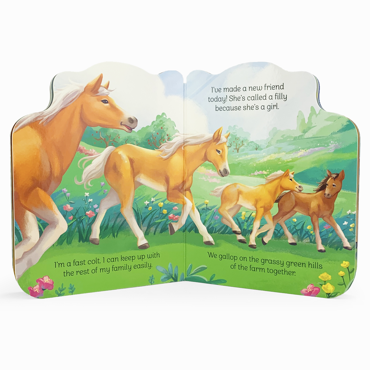A Little Colt Book