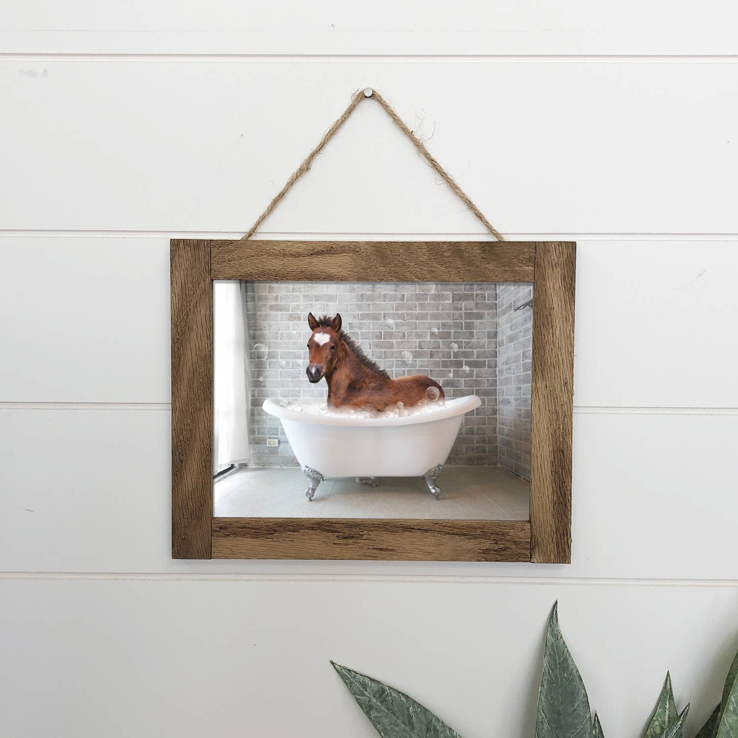 Foal in Bathtub Wood Sign