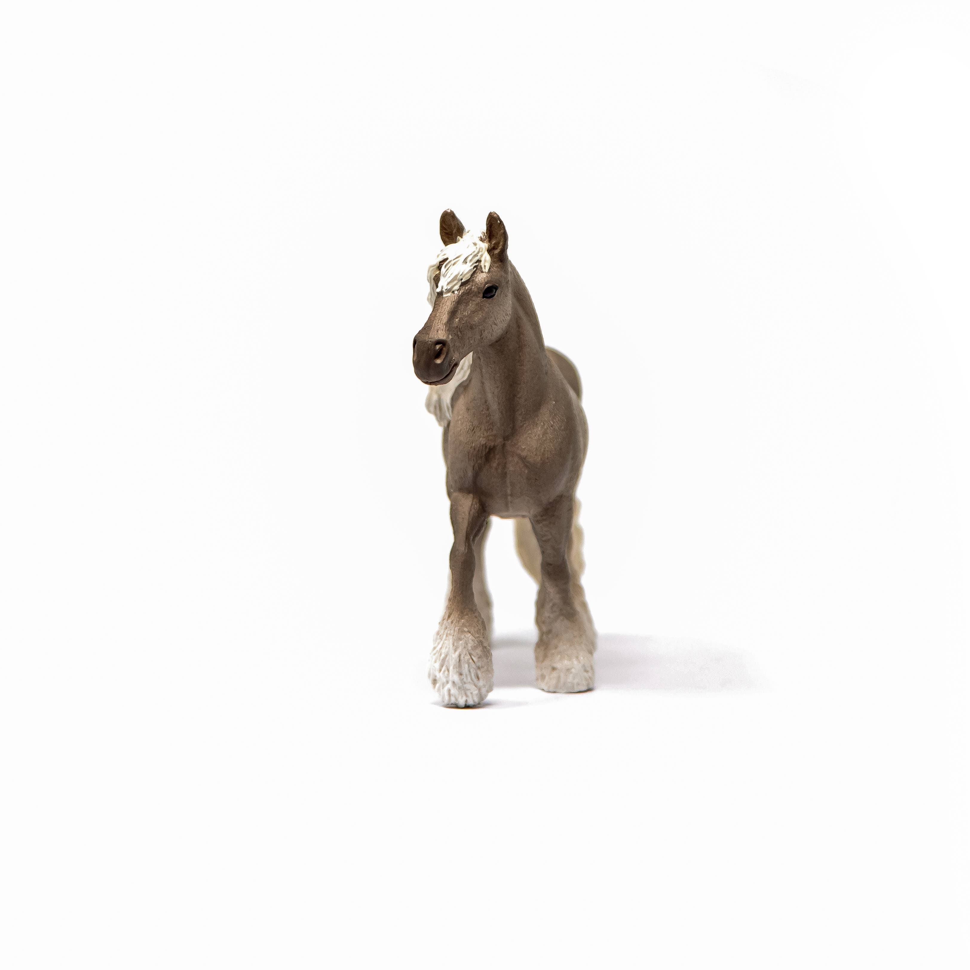 Silver Dapple Mare