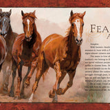 Unbridled Beauty: Celebrating the Spirit of Horses