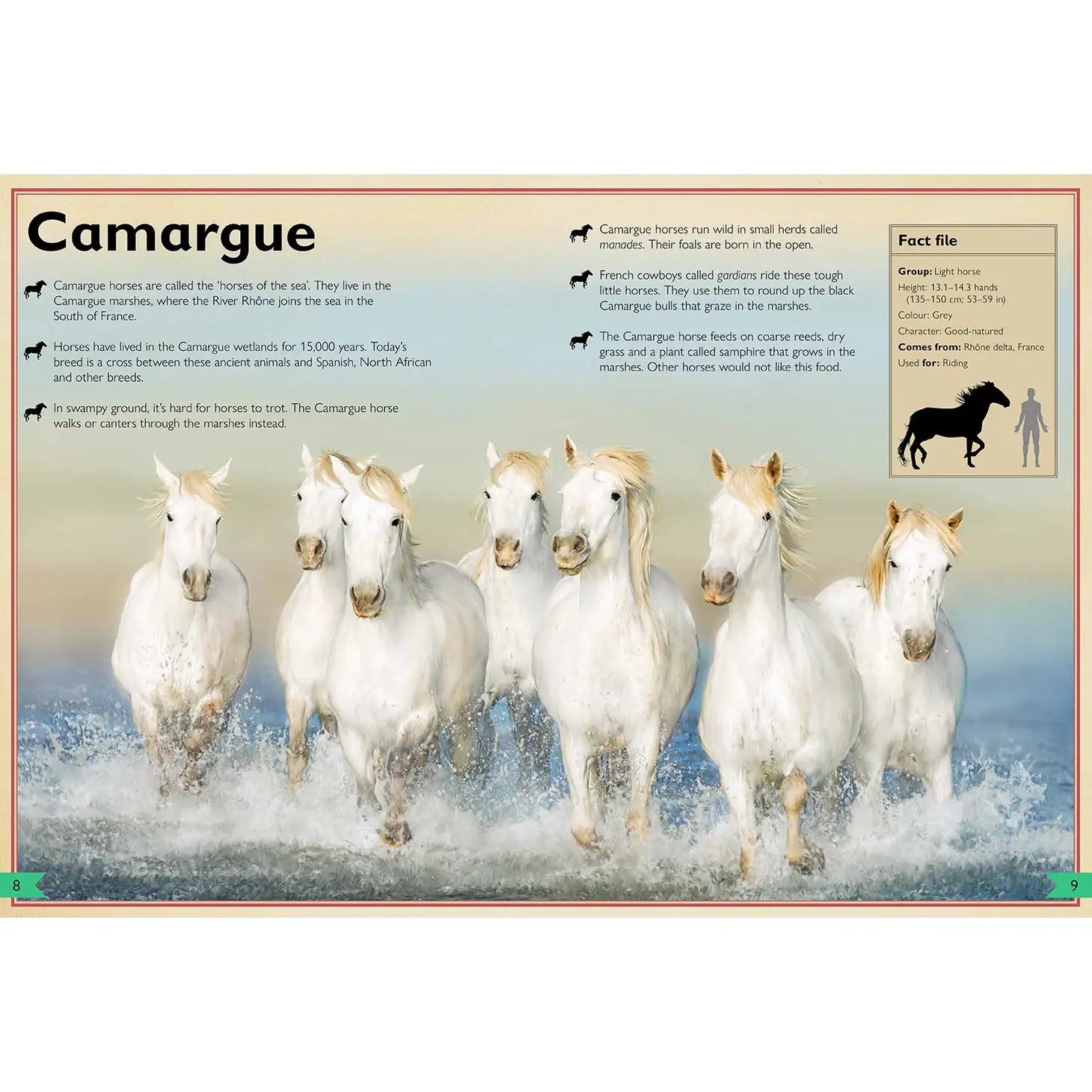 Magnificent Book of Horses