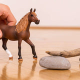 Paso Peruano Mare