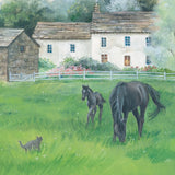 Little Foal's Busy Day