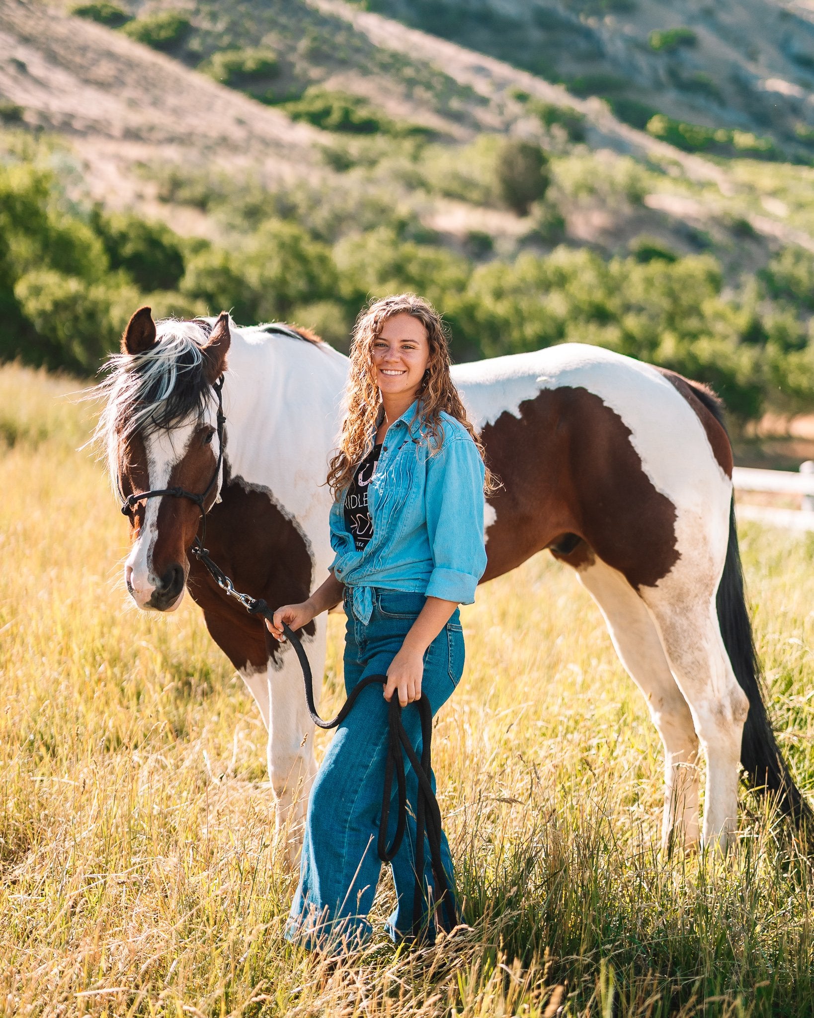 Bentley Horse (27")