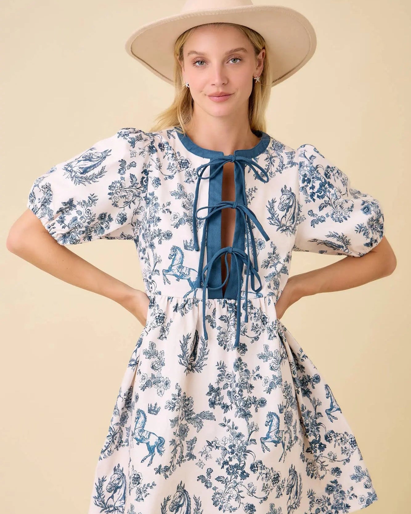 Vintage Horse Toile Print Denim Mini Dress Main Strip