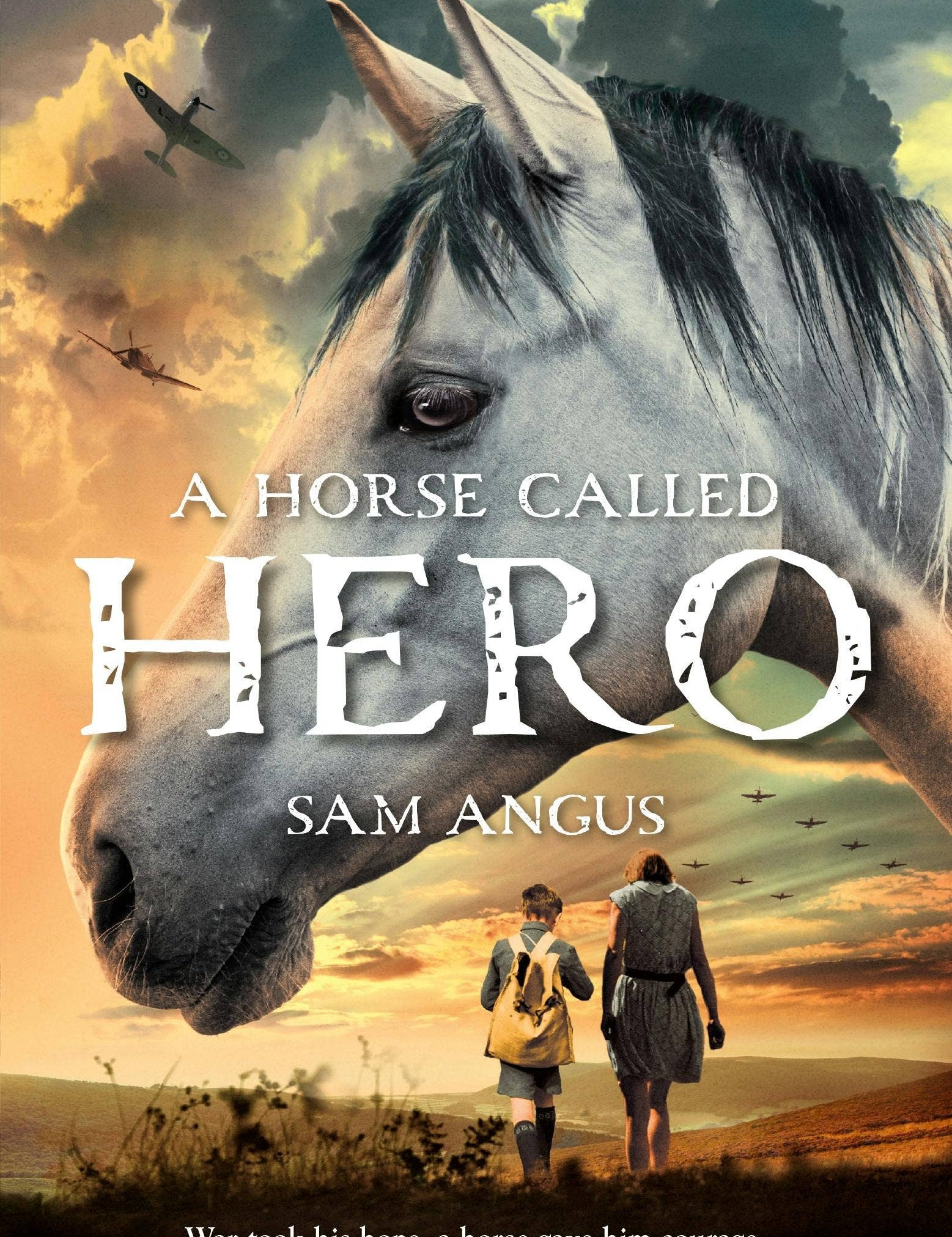 A Horse Called Hero