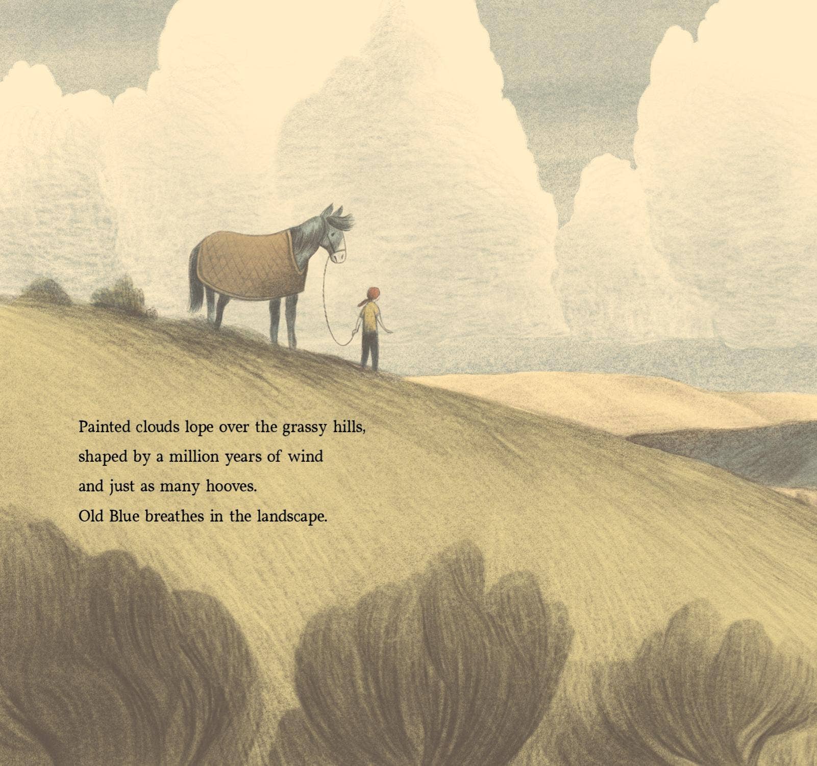 brave old blue: a horse rescue story