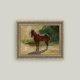 Brown Horse Study Framed Art