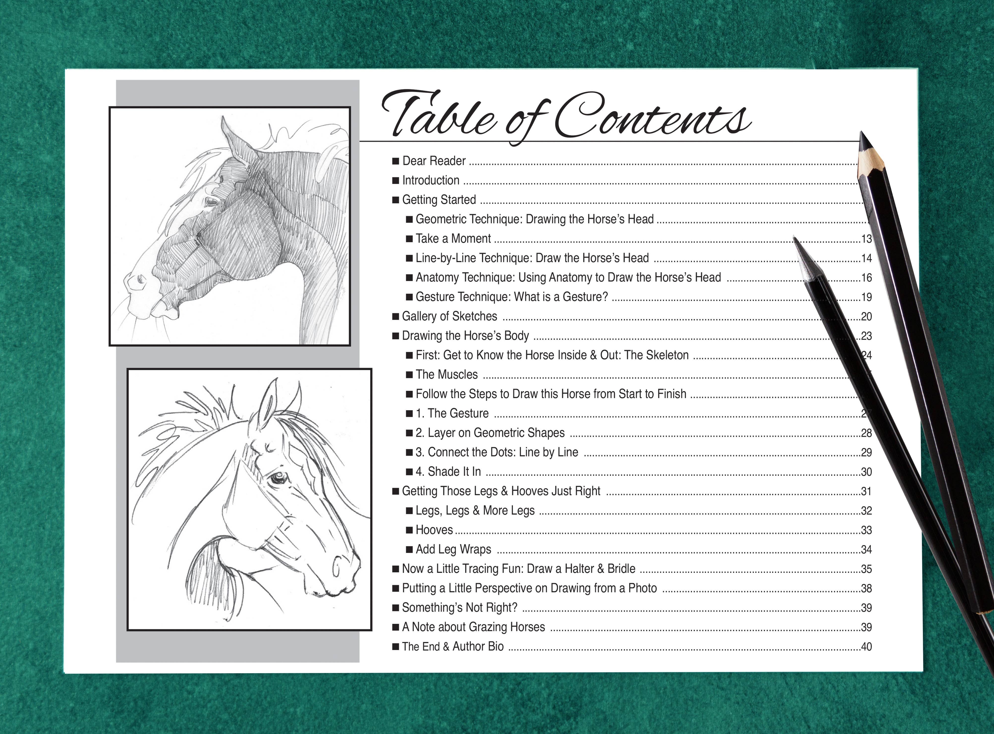 Anyone Can Draw Horses Art Kit