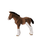 clydesdale foal