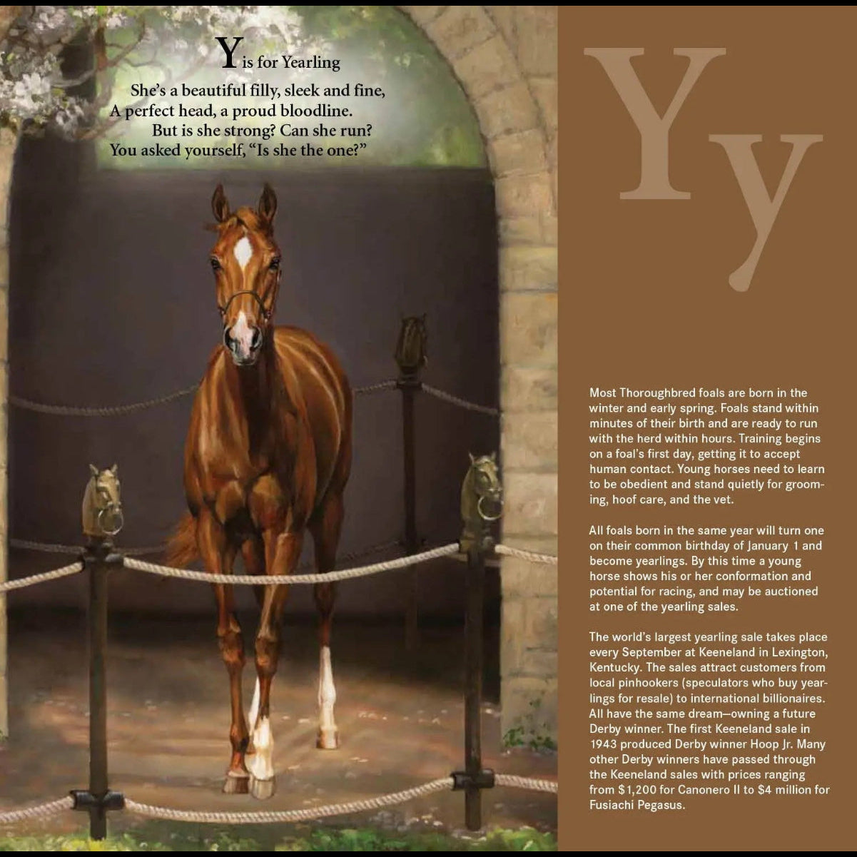 D is for Derby: A Kentucky Derby Alphabet Picture Book Faire - Sleeping Bear Press