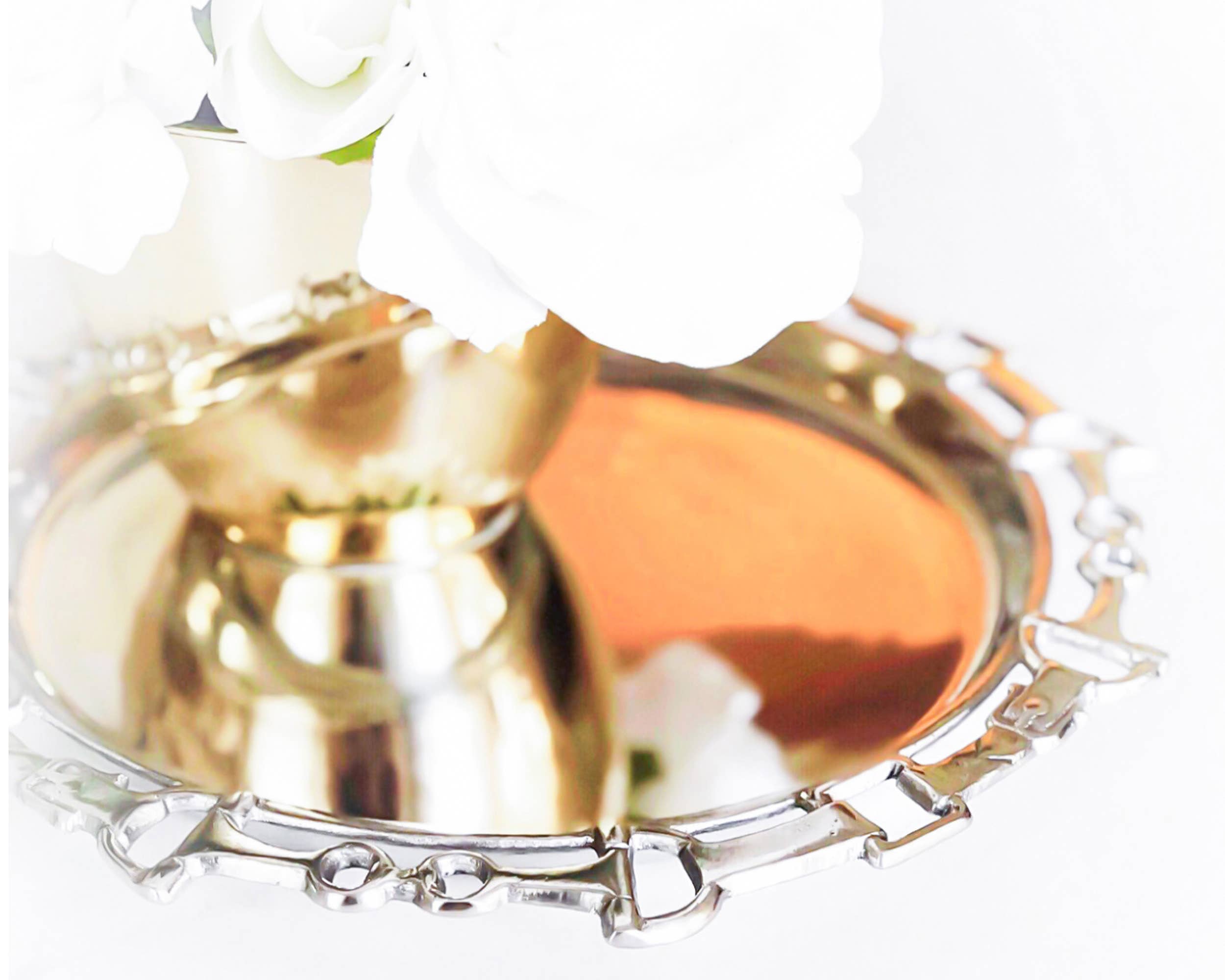 Snaffle Bit Equestrian Aluminum Round Tray