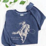 hold your horses sweatshirt (denim blue)