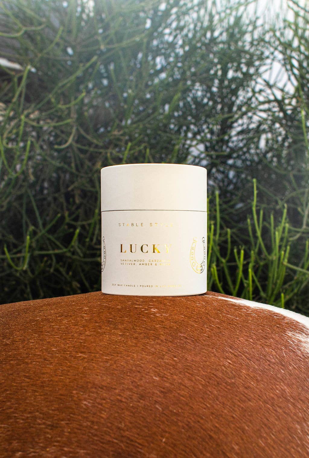 Lucky Horseshoe Soy Wax Candle (10 oz)