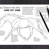 Anyone Can Draw Horses Art Kit