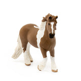 Finn the Irish Cob Horse