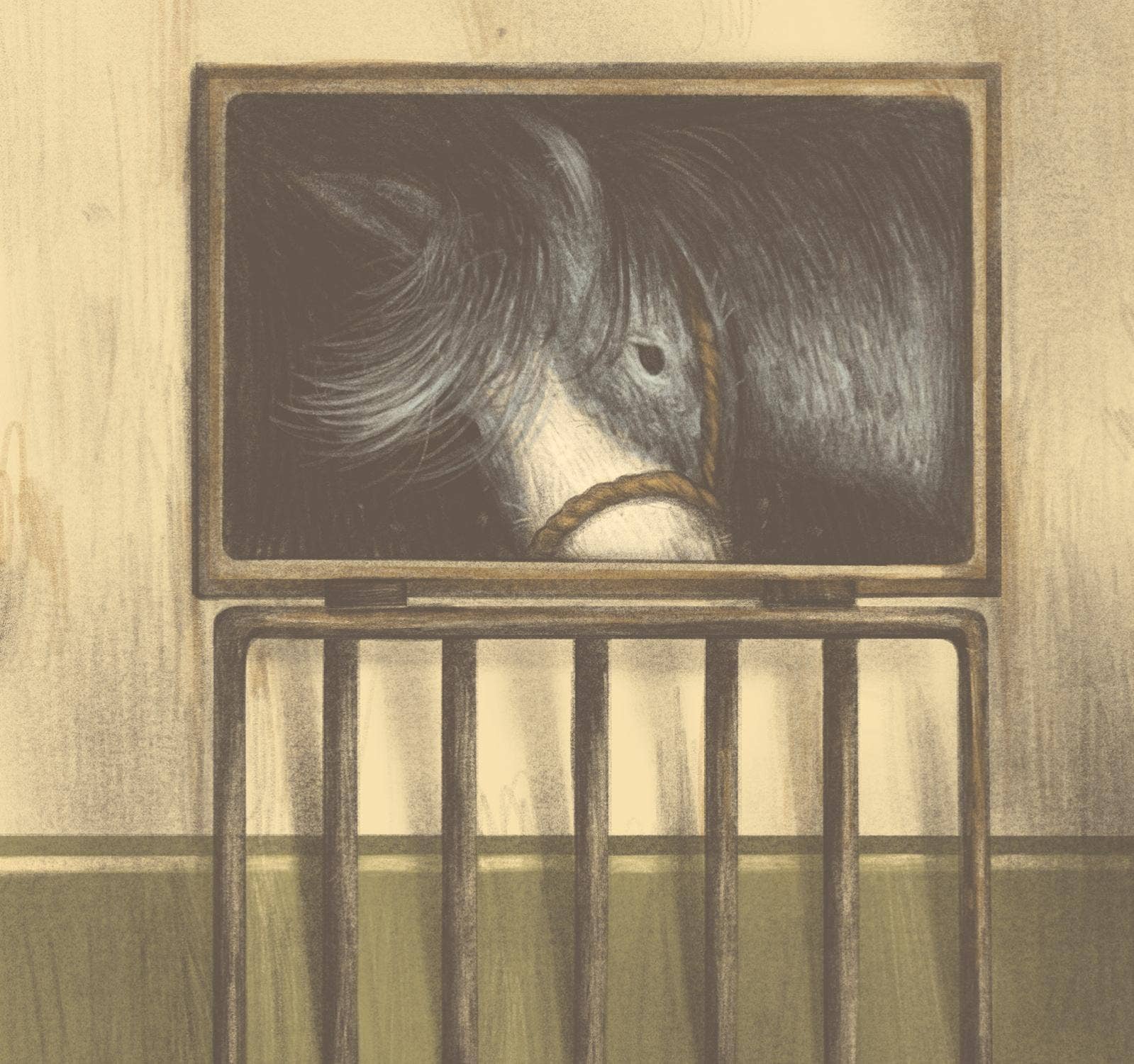 brave old blue: a horse rescue story