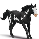 Domino the Paint Horse