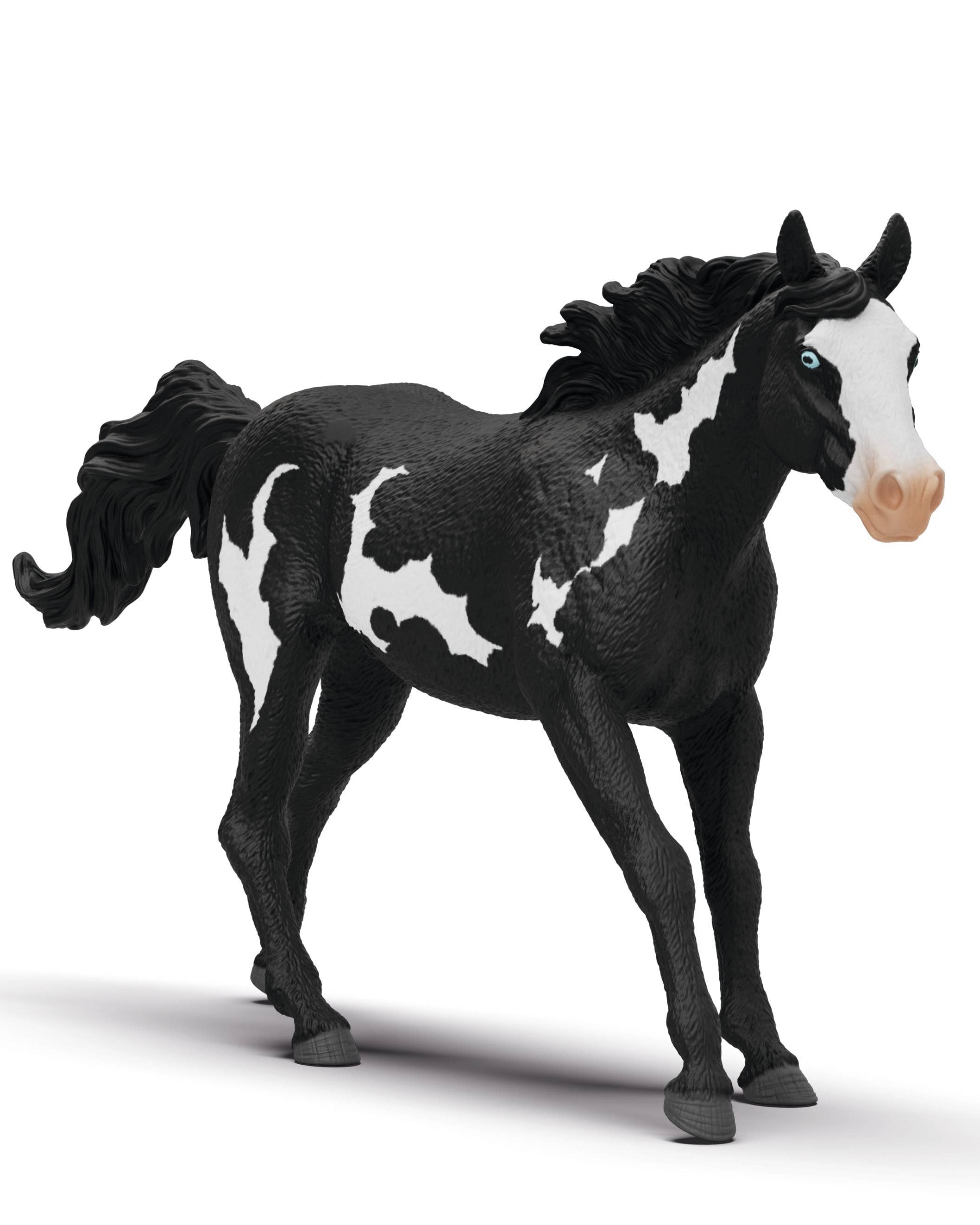 Domino the Paint Horse