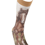 Pasture Friend Horse Socks