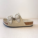 mickey western slides