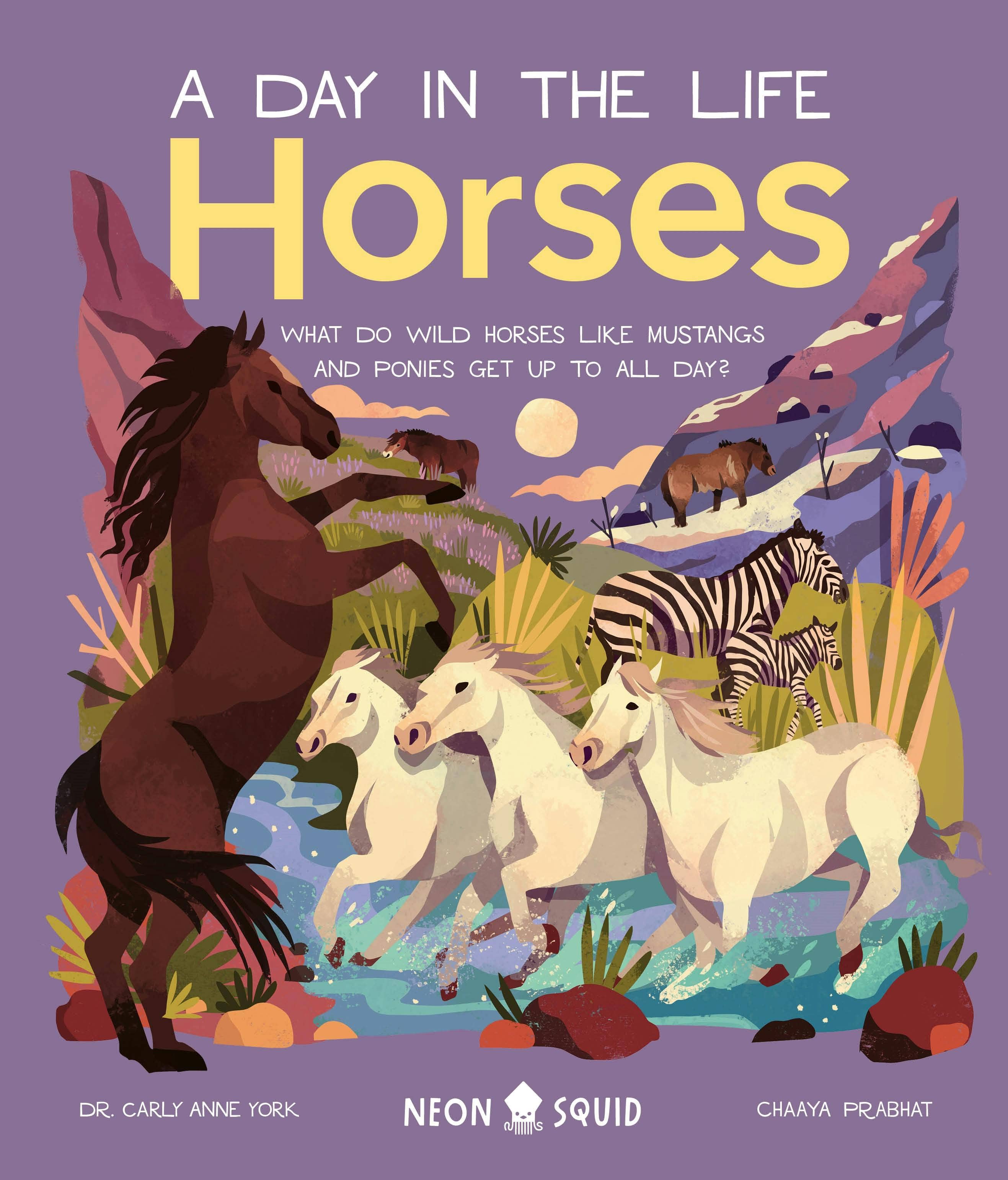 A Day In The Life of Horses