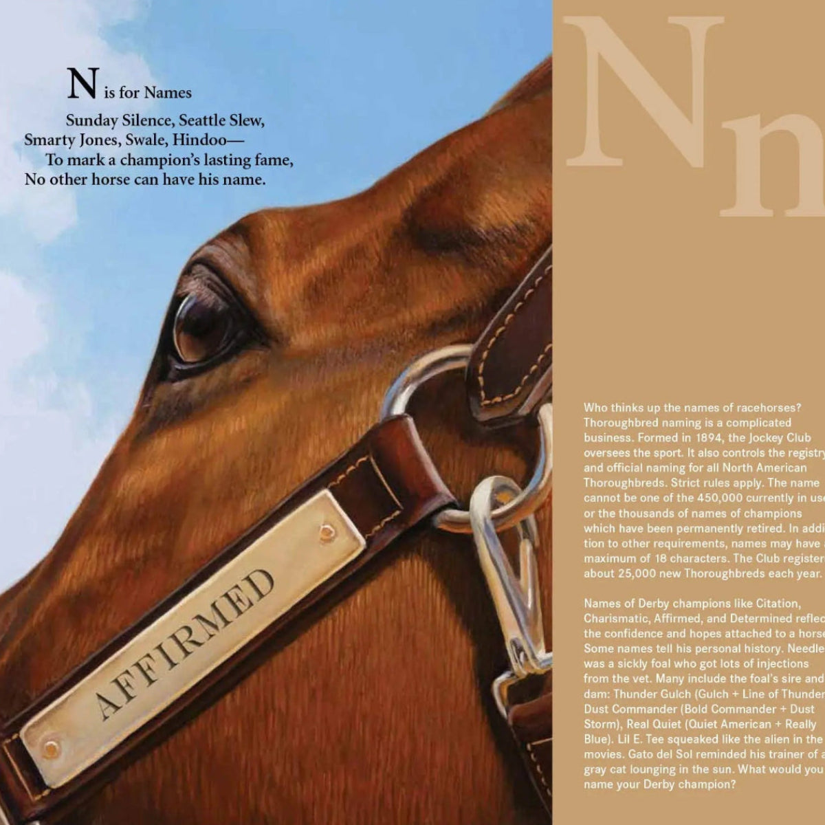 D is for Derby: A Kentucky Derby Alphabet Picture Book Faire - Sleeping Bear Press