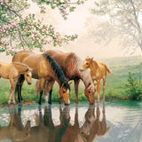 horse family puzzle (350pc)