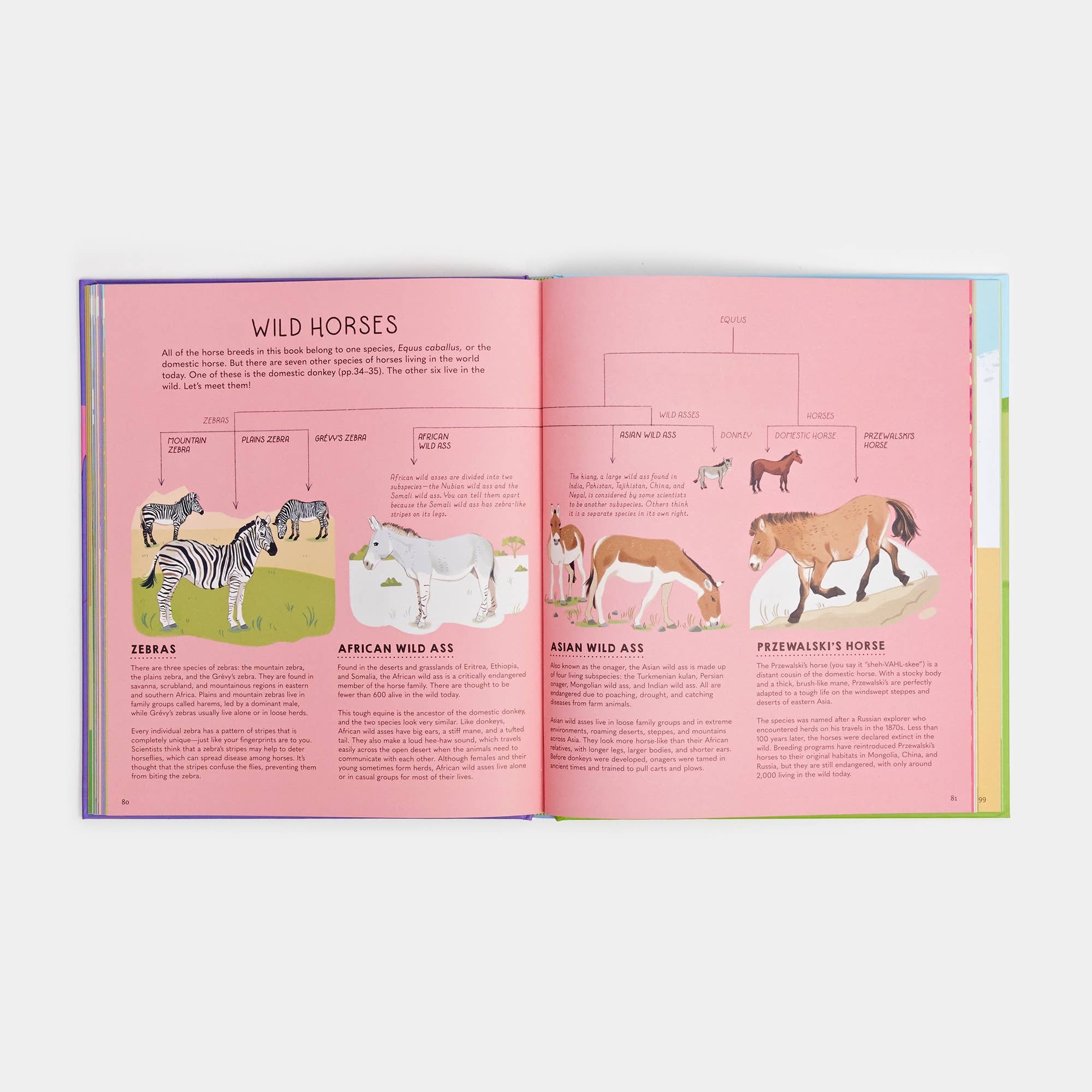 Atlas of Horses and Ponies