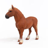 Benny - Belgian Draft Horse