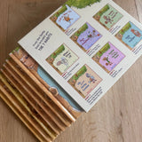 7 Habits of Happy Kids Collection (Boxed Set of 7) - Bridle Up Hope Shop