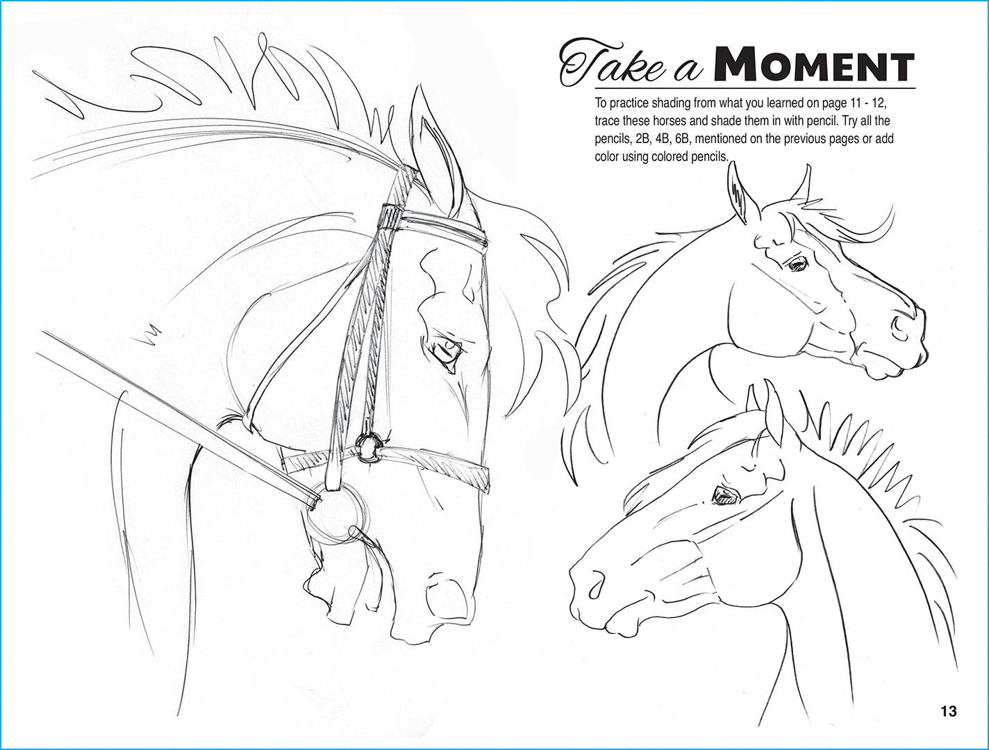 Anyone Can Draw Horses Art Kit