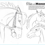 Anyone Can Draw Horses Art Kit