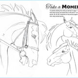 Anyone Can Draw Horses Art Kit