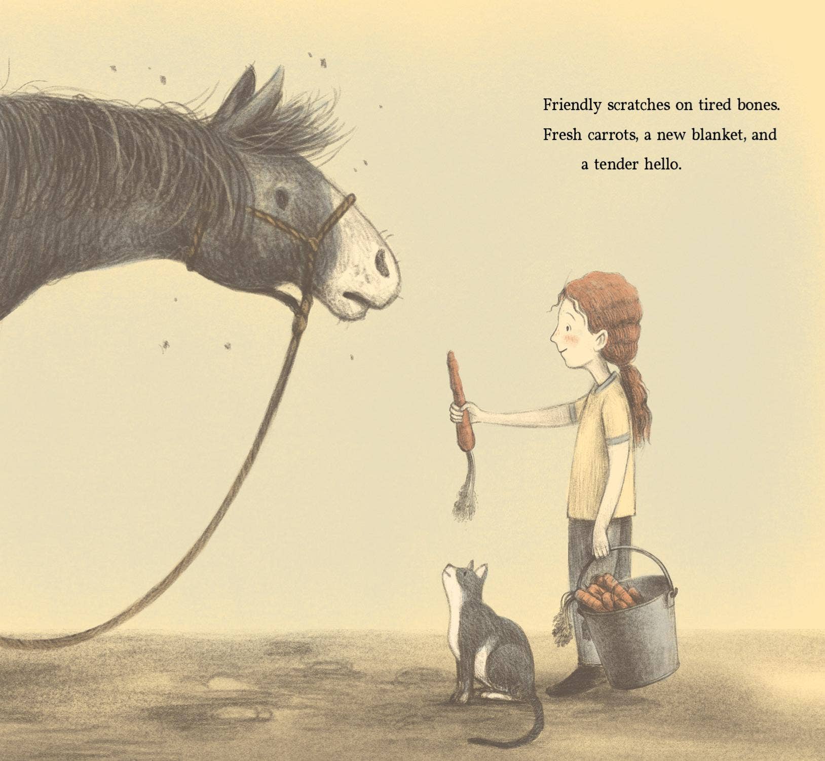 brave old blue: a horse rescue story