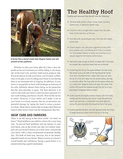 The Original Horse Bible