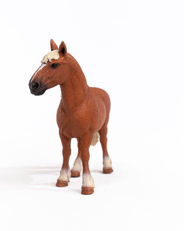 Benny - Belgian Draft Horse