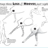 Anyone Can Draw Horses Art Kit