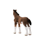 clydesdale foal