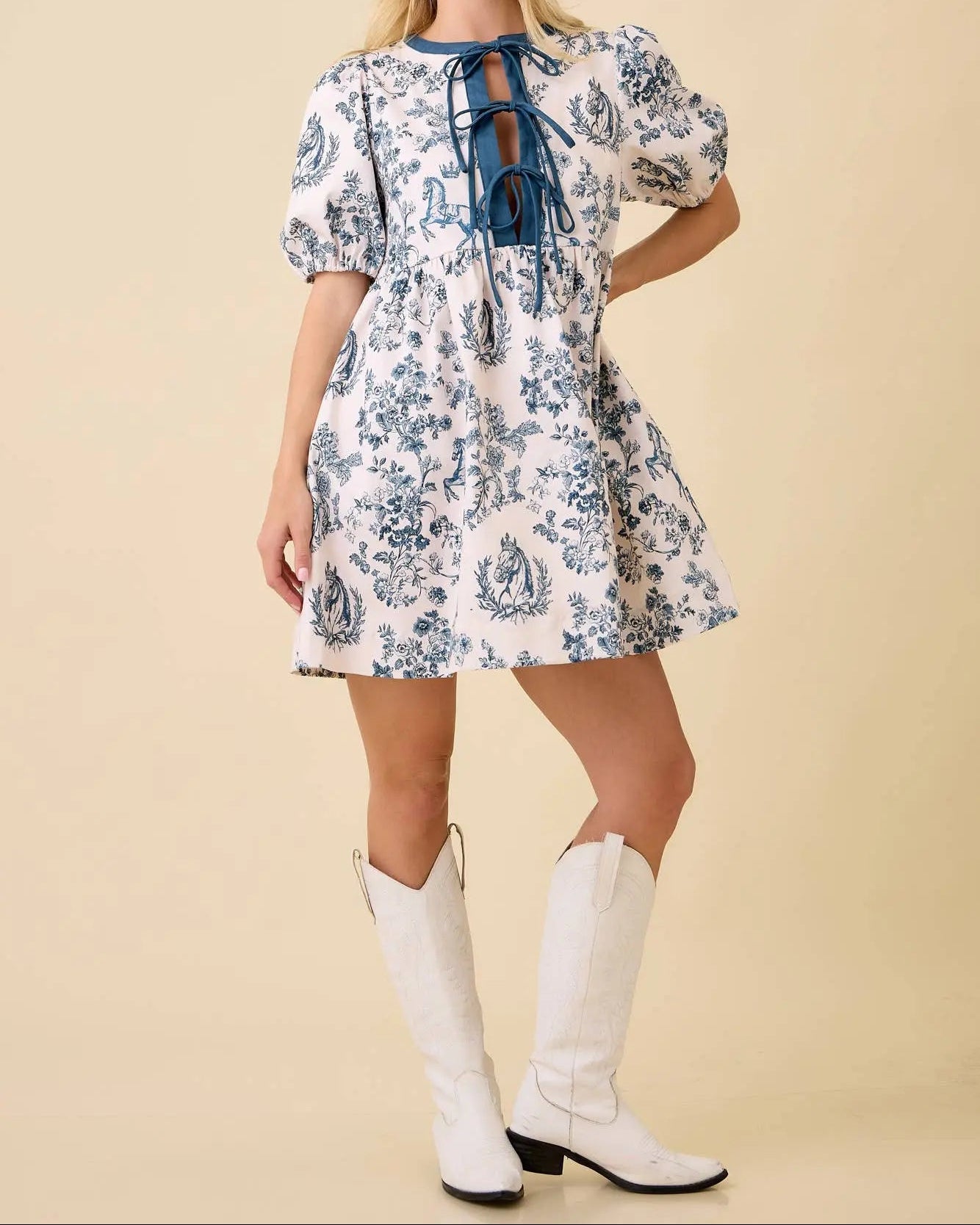 Vintage Horse Toile Print Denim Mini Dress Main Strip