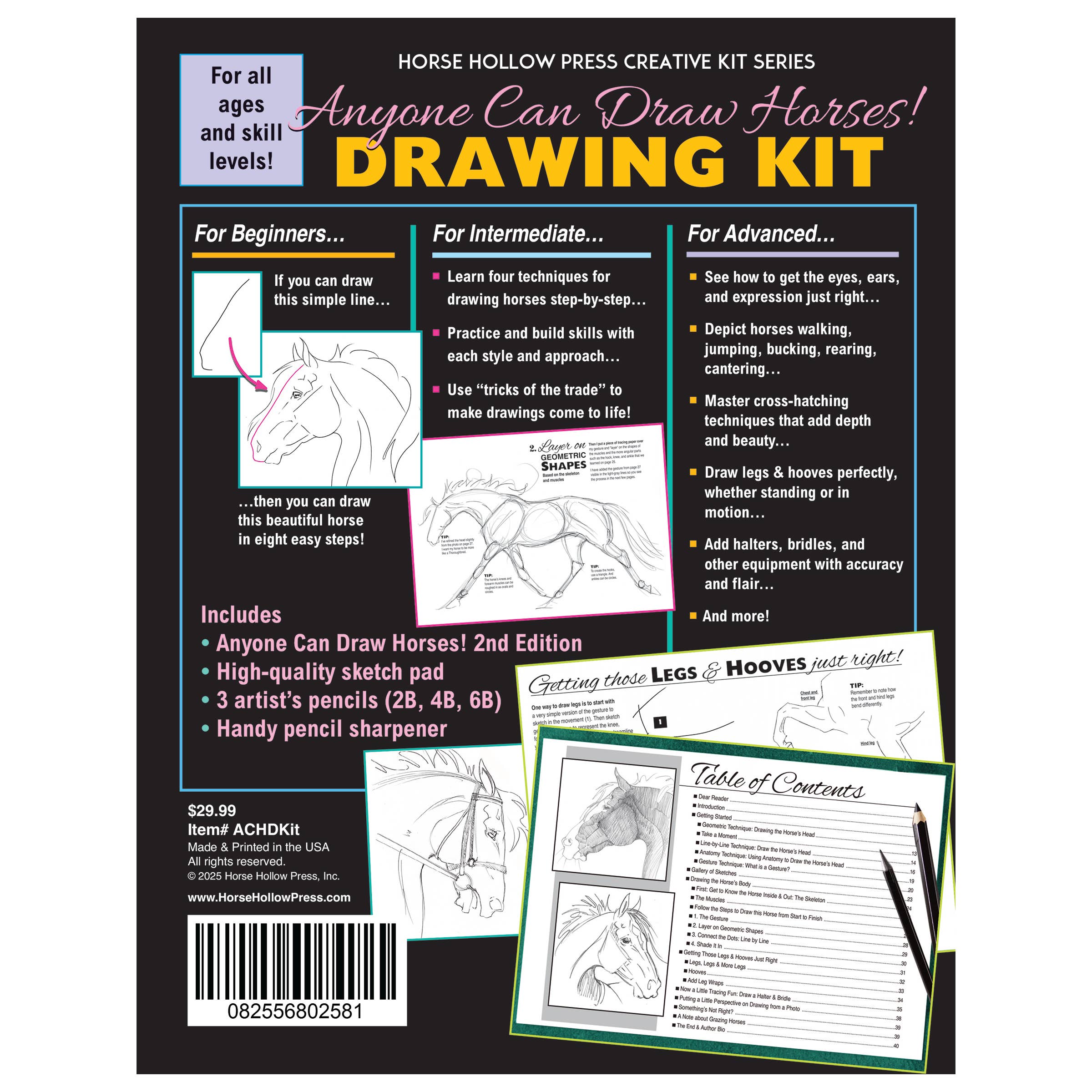 Anyone Can Draw Horses Art Kit