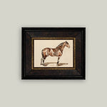 a bay horse art