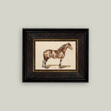 a bay horse art